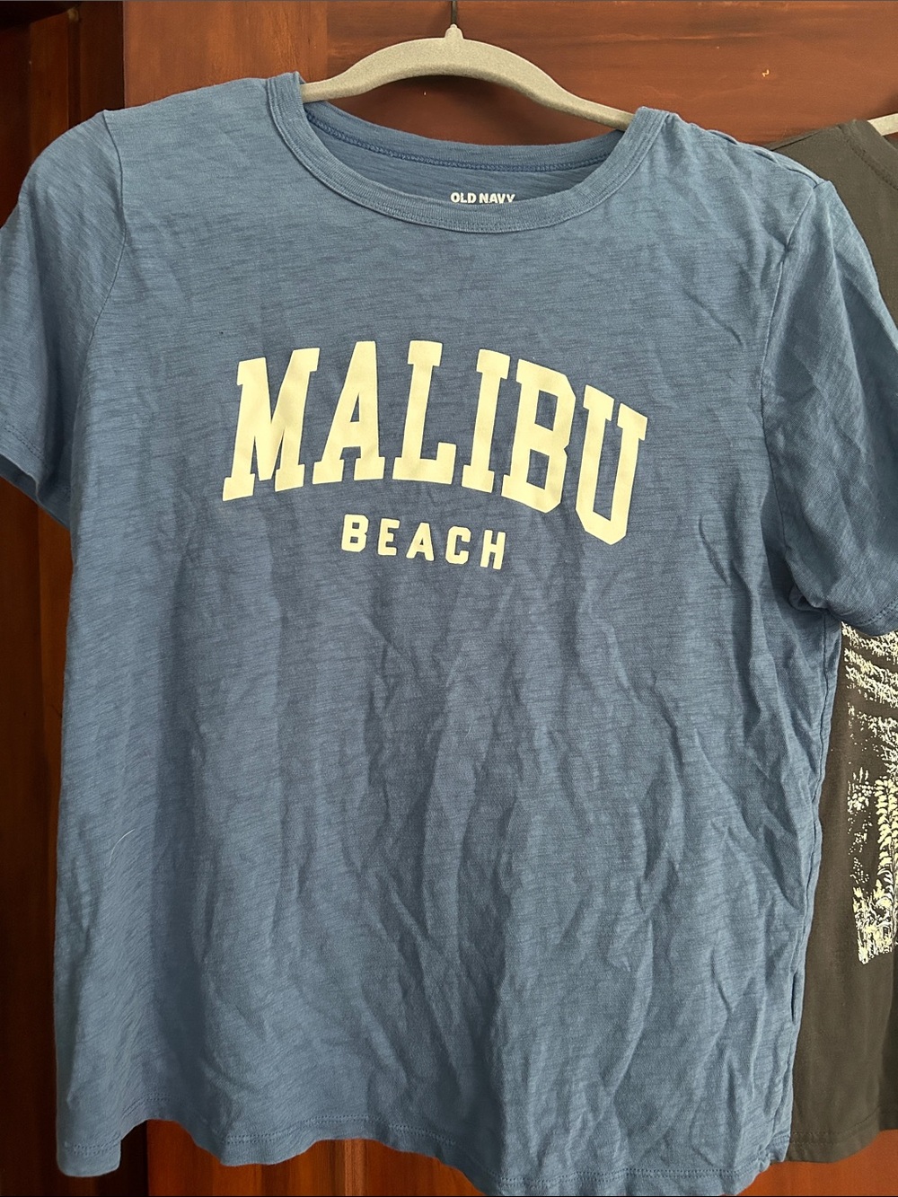 Old Navy Malibu Beach Graphic Tee - Blue & Grey Smoky Mountains Tee - Picture 7 of 7